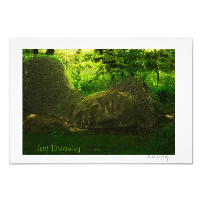 Foto 'Soñando' (Frente)