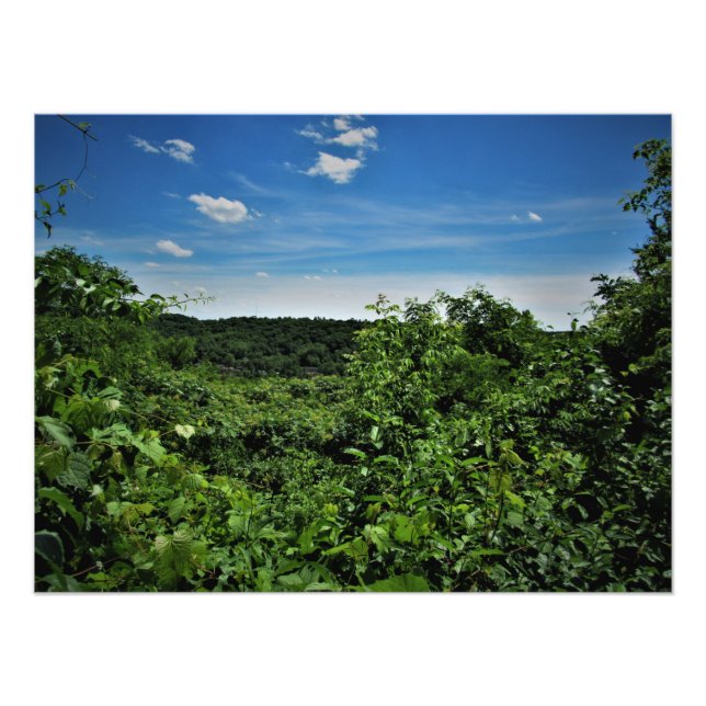 Foto "Sorins Bluff" (Frente)