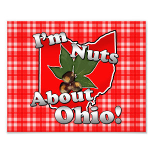 Foto Soy Nuts sobre Ohio, nuez divertida del castaño d