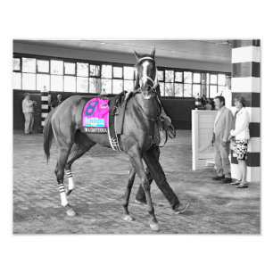 Foto Soy un parlanchín