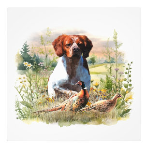 Foto Spaniel de Bretaña - Campo, Enfoque, Faisán, Arte