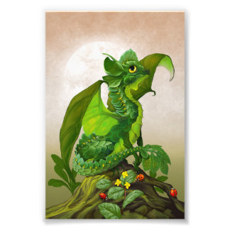 Foto Spinach Dragon 4x6 Print