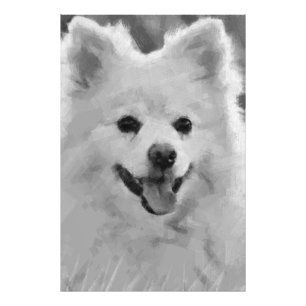 Foto Spitz japonés