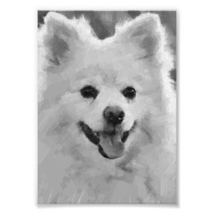 Foto Spitz japonés