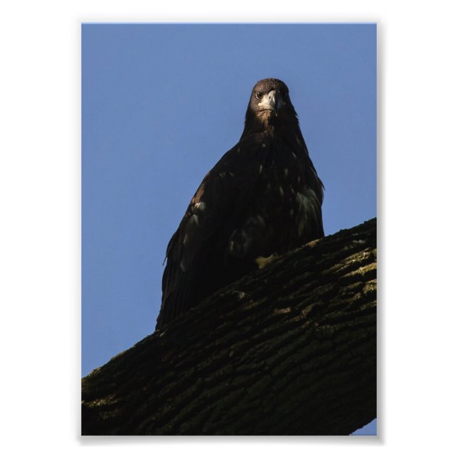 Foto Spotlight (Frente)