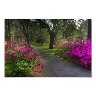 Foto Springtime In Forsyth Park, Savannah