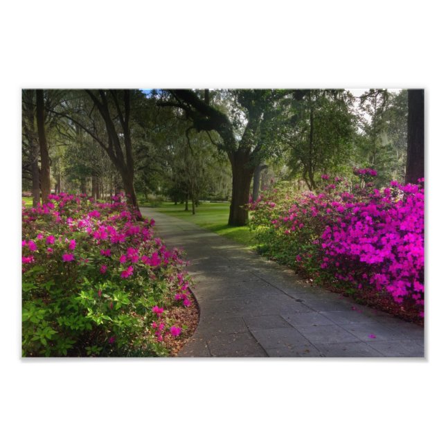 Foto Springtime In Forsyth Park, Savannah (Frente)