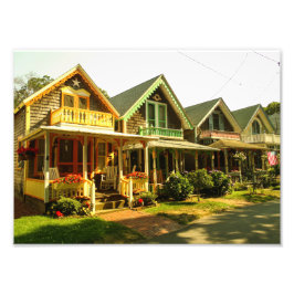 Foto Springtime On Martha's Vineyard - MVCMA