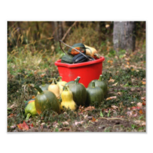 Foto Squash Country Garden Harvest Orton Art 8x10