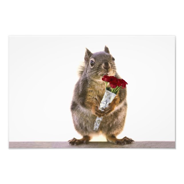 Foto Squirrel Holding Red Rose Bouquet (Frente)