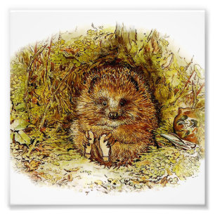 Foto "Sr. Pricklepin viejo" por Beatrix Potter