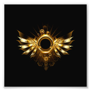 Foto Steampunk wings