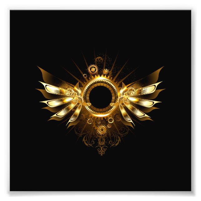 Foto Steampunk wings (Frente)