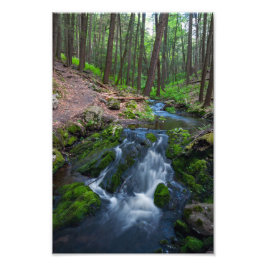 Foto Stream Along the Trail