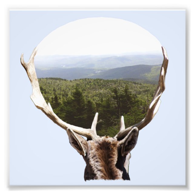 Foto Su dominio (Frente)