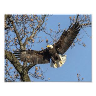 Foto Su gran entrada