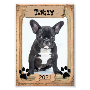 Foto Su mascota de la familia - plantilla decorativa de