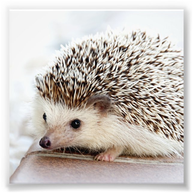 Foto Su Personalizado fotográfico Ajustar impresión (Frente)