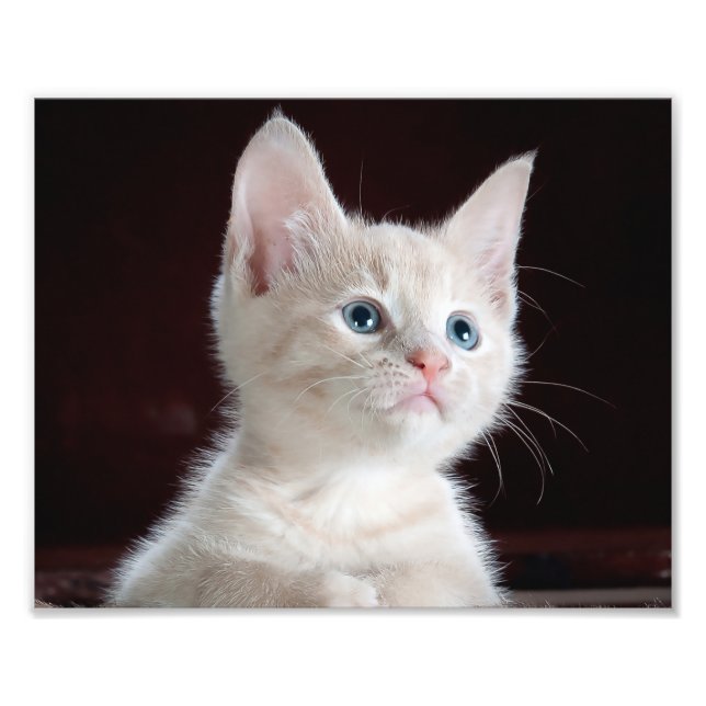 Foto Su Personalizado fotográfico Imprimir (Frente)