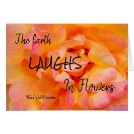 Foto subió mezcla rosada amarilla de la flor del