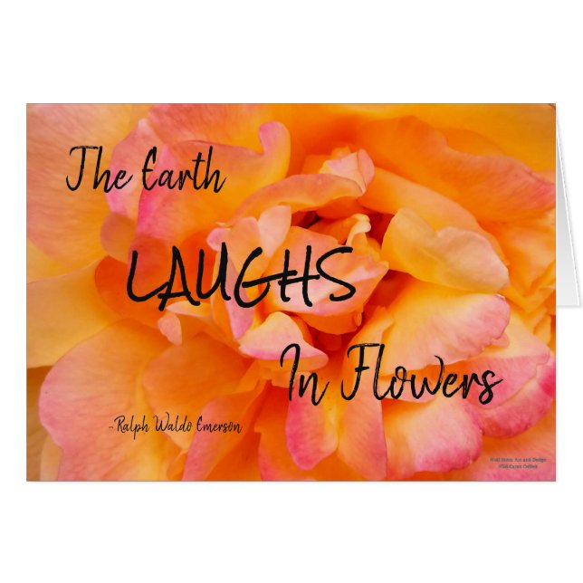 Foto subió mezcla rosada amarilla de la flor del (Anverso (Horizontal))