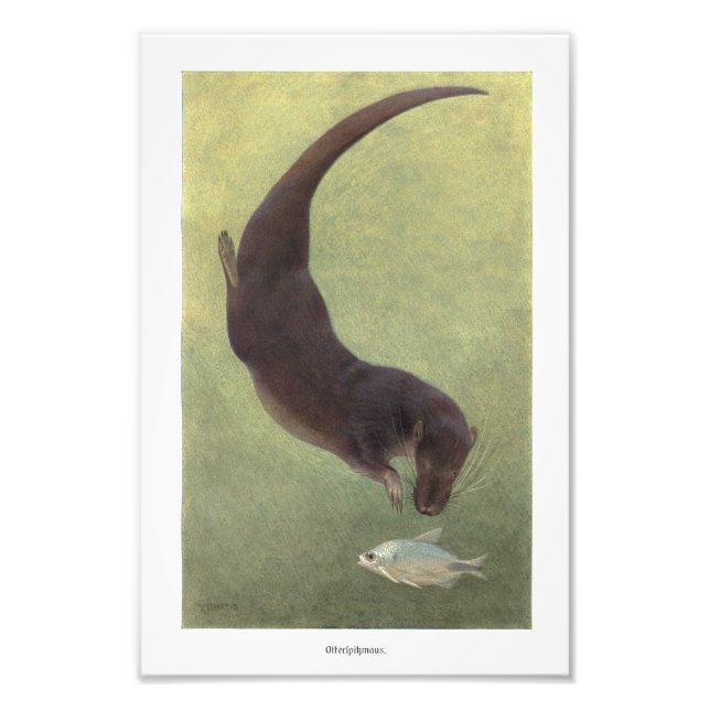 Foto Submarinismo con mantequilla para el ilustracion d (Frente)