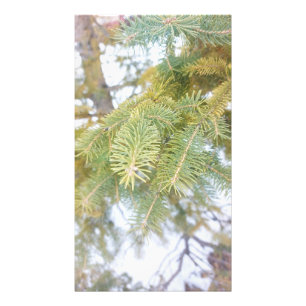 Foto Sucursales de nieve. ¡Hazte con una en Zazzle