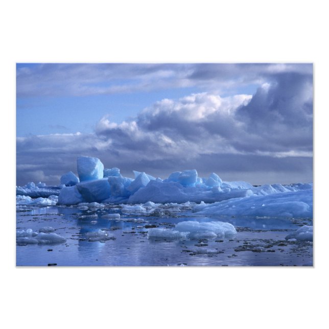 Foto Sudamérica, Chile, Laguna San Rafael NP. (Frente)