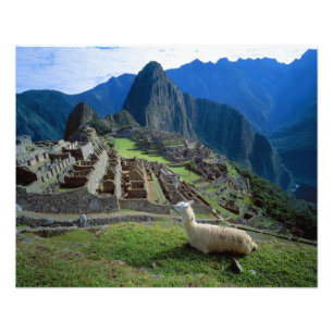 Foto Sudamérica, Perú. Una llama descansa en una colina
