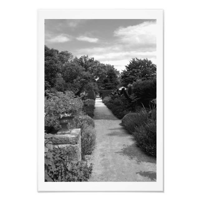 Foto Sueño de jardín (Frente)