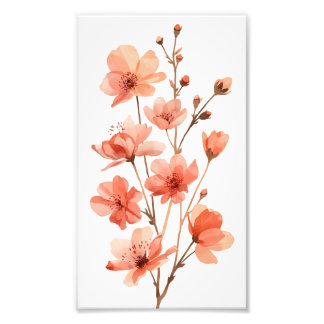 Foto Sueños de Flor de Coral