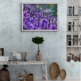 Foto Sueños de lavanda