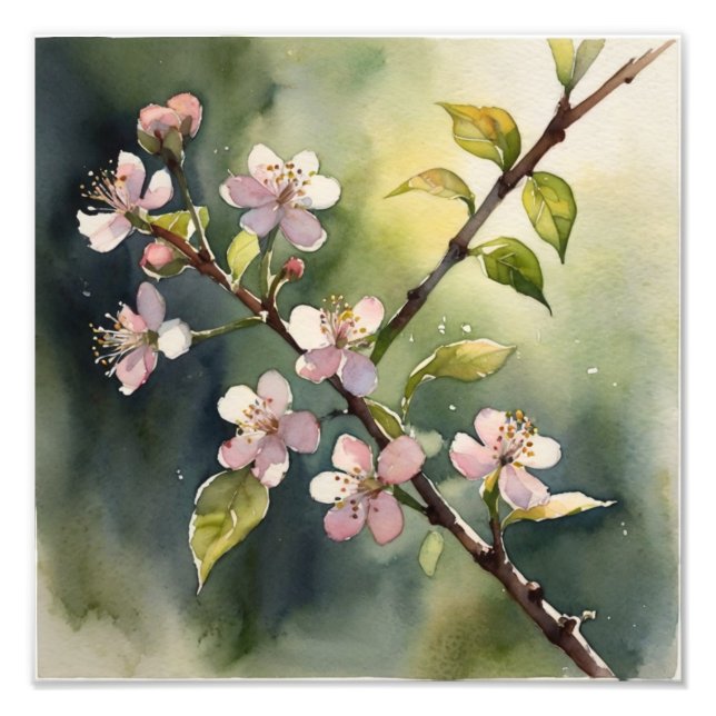 Foto Sueños Delicados: acuarela de flores de cerezo (Frente)