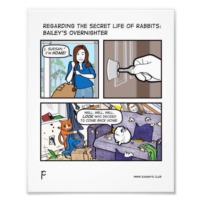 FOTO ¡SUESAN! (Frente)