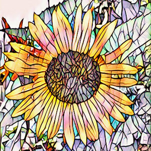 FOTO SUNFLOWER