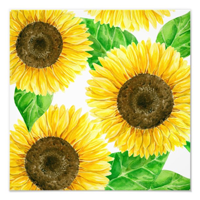 Foto Sunflower (Frente)