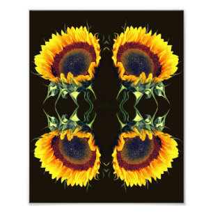 Foto Sunflower In Sunshine Abstract Flor Art 8x10
