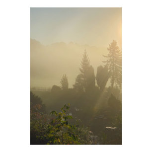 Foto Sunrise
