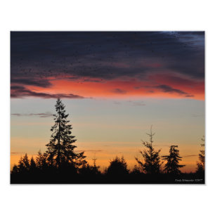 Foto Sunrise and Trees