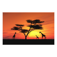 Sunset africano