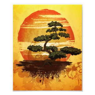 Foto Sunset de bonsai Tree japonés
