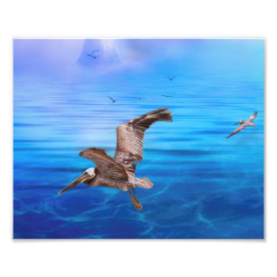 Foto Sunset de la isla Pelican Flyby
