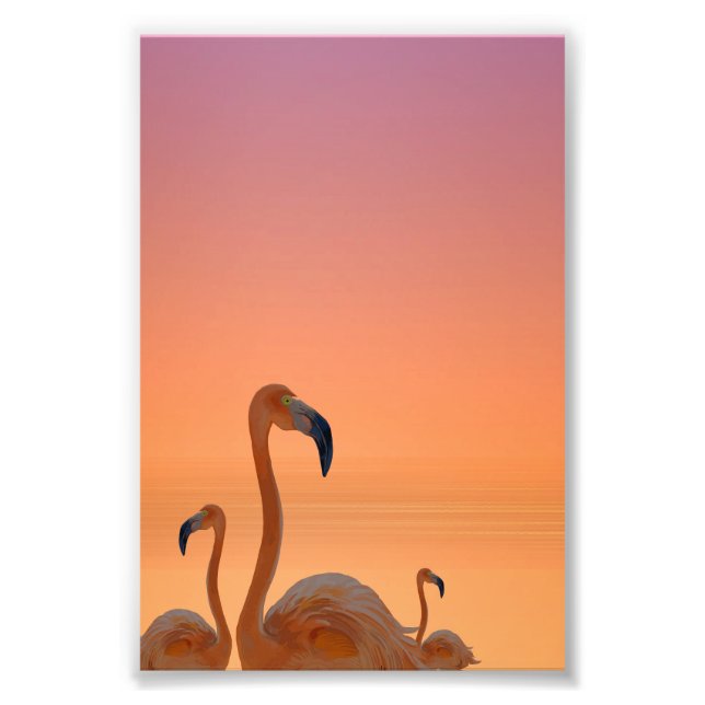 Foto Sunset Flamingo Tropical Poster (Frente)