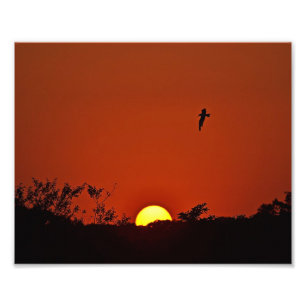 Foto Sunset Over The Marsh Photo Print