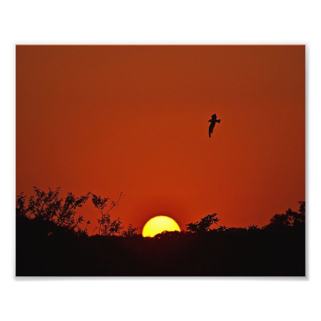 Foto Sunset Over The Marsh Photo Print (Frente)