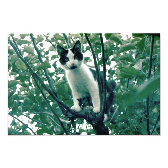 Foto Superfluidad de la nitidez (Frente)