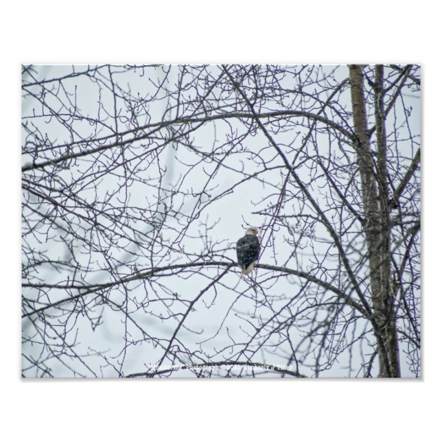 Foto Supervisión (Frente)