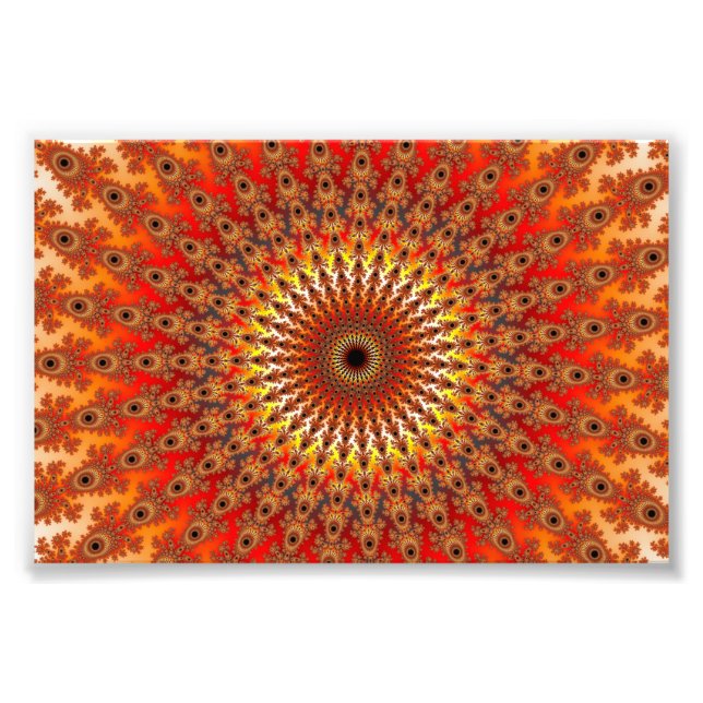 Foto Supervivencia - Fractal (Frente)