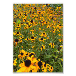 Foto Susan Flowers, Ohio