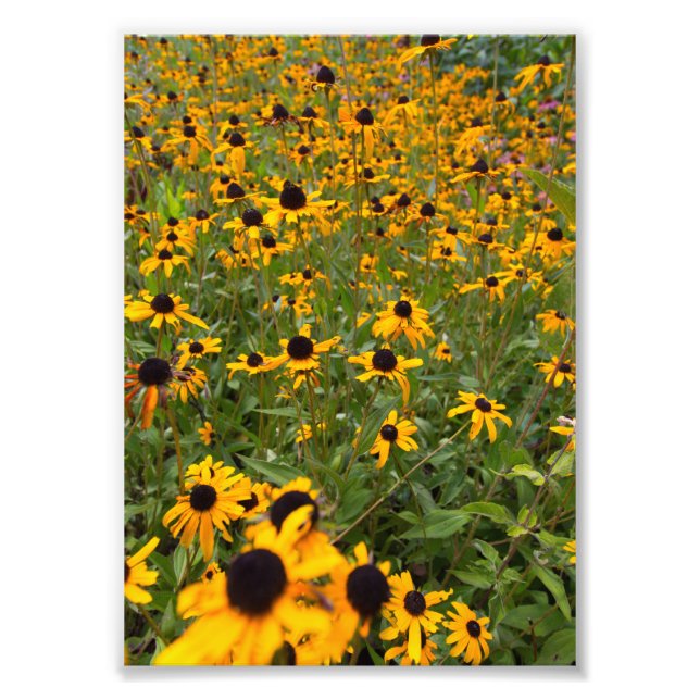 Foto Susan Flowers, Ohio (Frente)